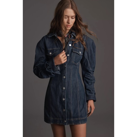 NWT! Anthropologie PILCRO Long-Sleeve Button-Front Seamed Denim Mini Dress Small